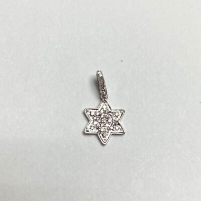 COPR04631W - 14K White Gold Pendant