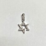 COPR04635W - 14K White Gold Pendant