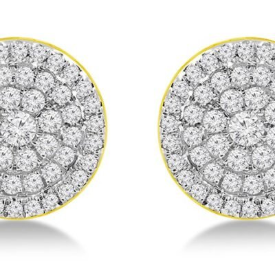 FER4086Y - 14K  Stud Earrings