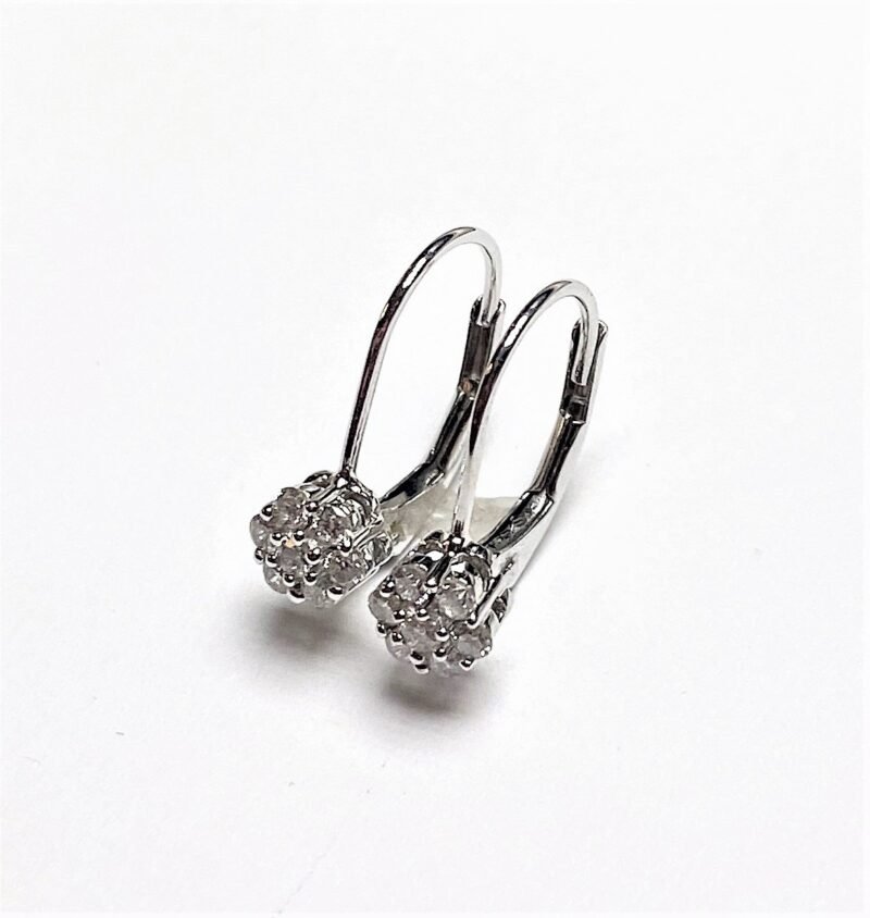 UBV4496E-10W55 -   Earrings