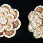 Y8CRE1361AFP - 14K Rose Gold Stud Earrings