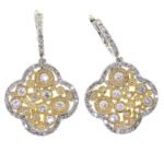 UB10014EWY2 - 14K Two Tones Gold Earrings