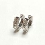 ER1069W -   Earrings