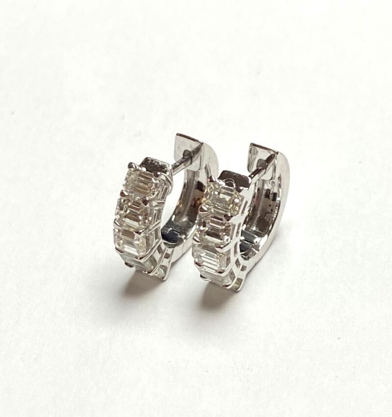 ER1069W -   Earrings