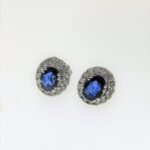 HER936-OV2SWDSA - 14K White Gold Earrings