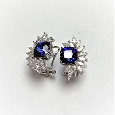UB10017EWJSA -   Earrings