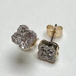 FLB2-FS2ERY - 14K Yellow Gold Earrings