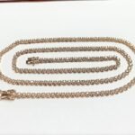 N188x025Y55-22 - 14K Yellow Gold Necklace