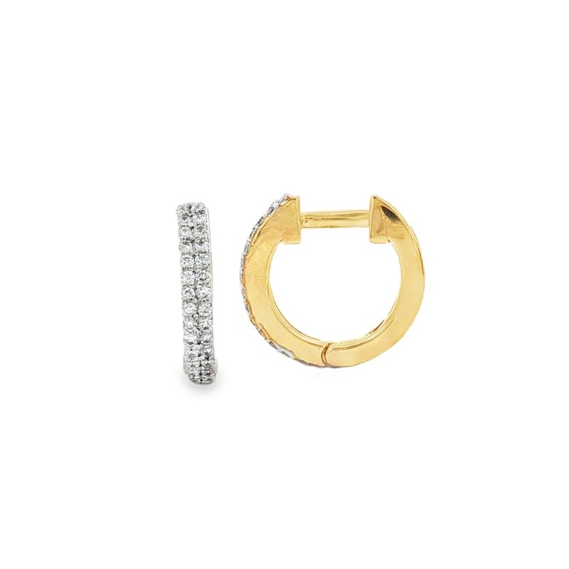 UB10701E-10Y-Earrings