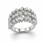 BSR890105W-Anniversary